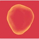 Prolaio Logo